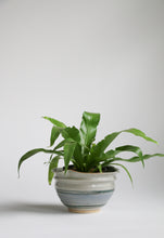 Load image into Gallery viewer, Stoneware Planter
