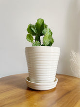 Load image into Gallery viewer, Small Ribbed White Planter
