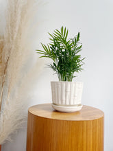 Load image into Gallery viewer, McCoy Bamboo Ceramic Planter
