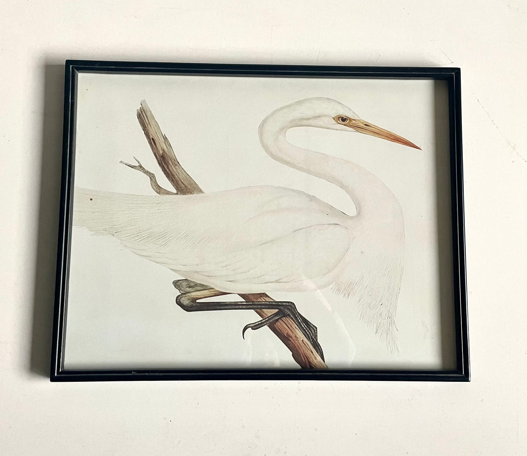 Framed Crane Print